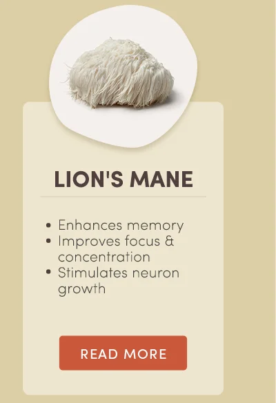 Lion's Mane. Enhances memory. Improves focus and concentration. Stimulates neuron growth. Read More.