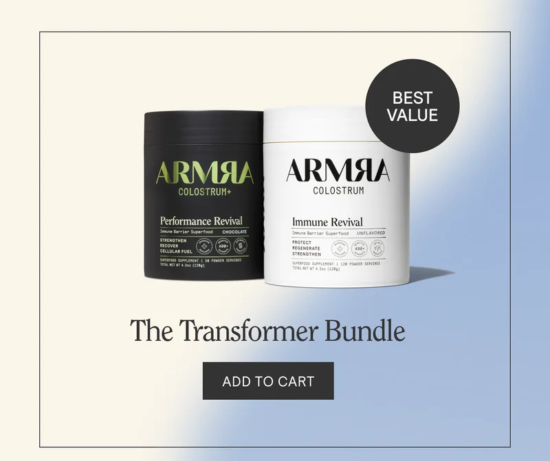 THE TRANSFORMER BUNDLE