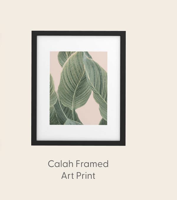 Calah Framed Art Print