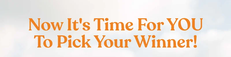 Now it's time for YOU to pick your winner!