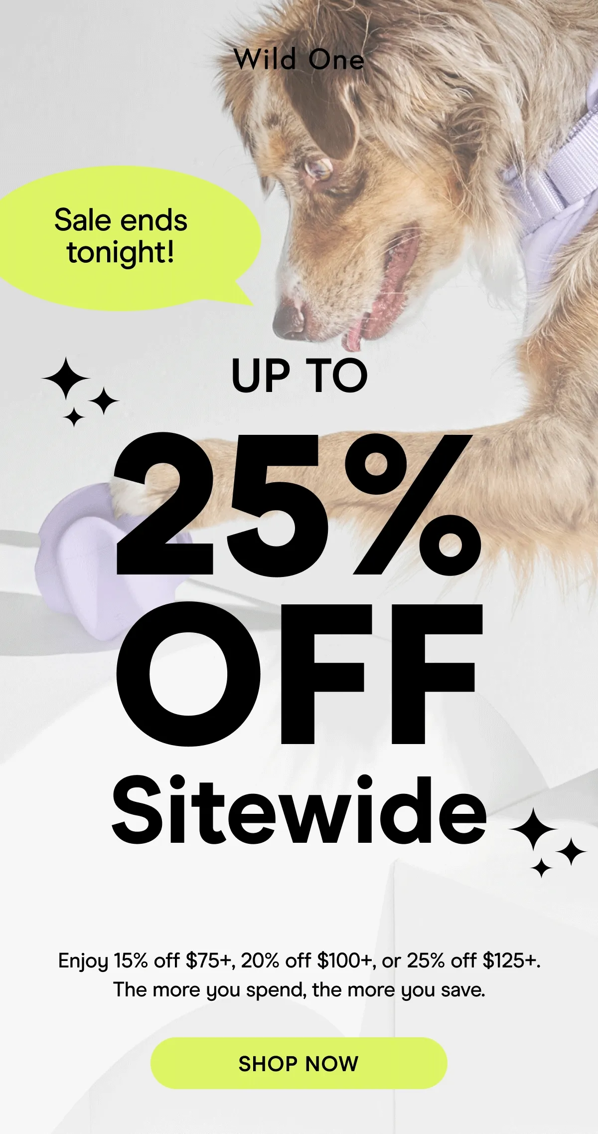 Sale Ends Tonight! Enjoy 15% off $75+, 20% off $100+, or 25% off $125+. The more you spend, the more you save.