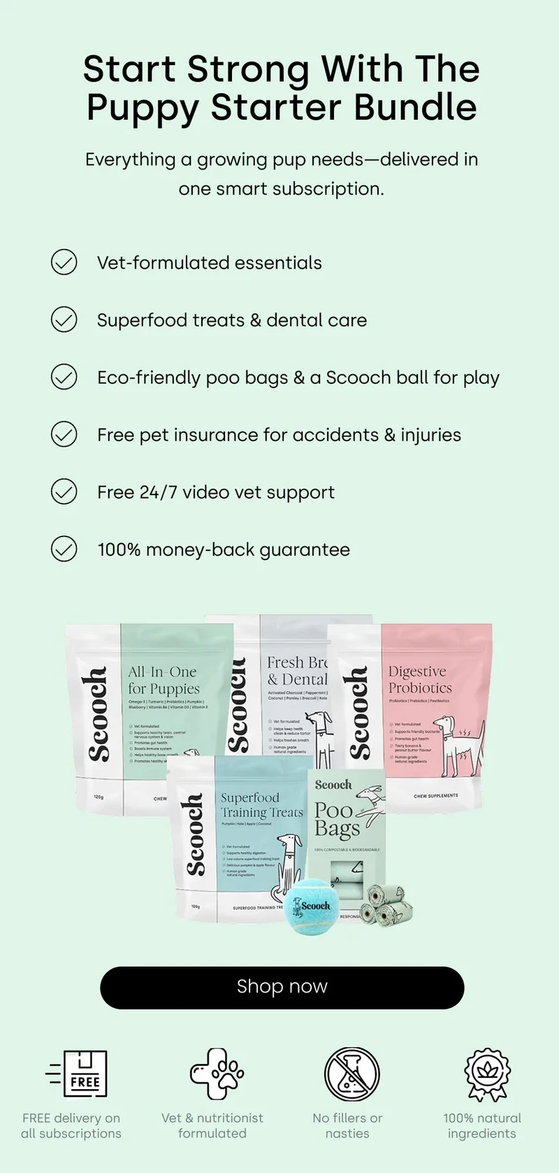 Shop Now