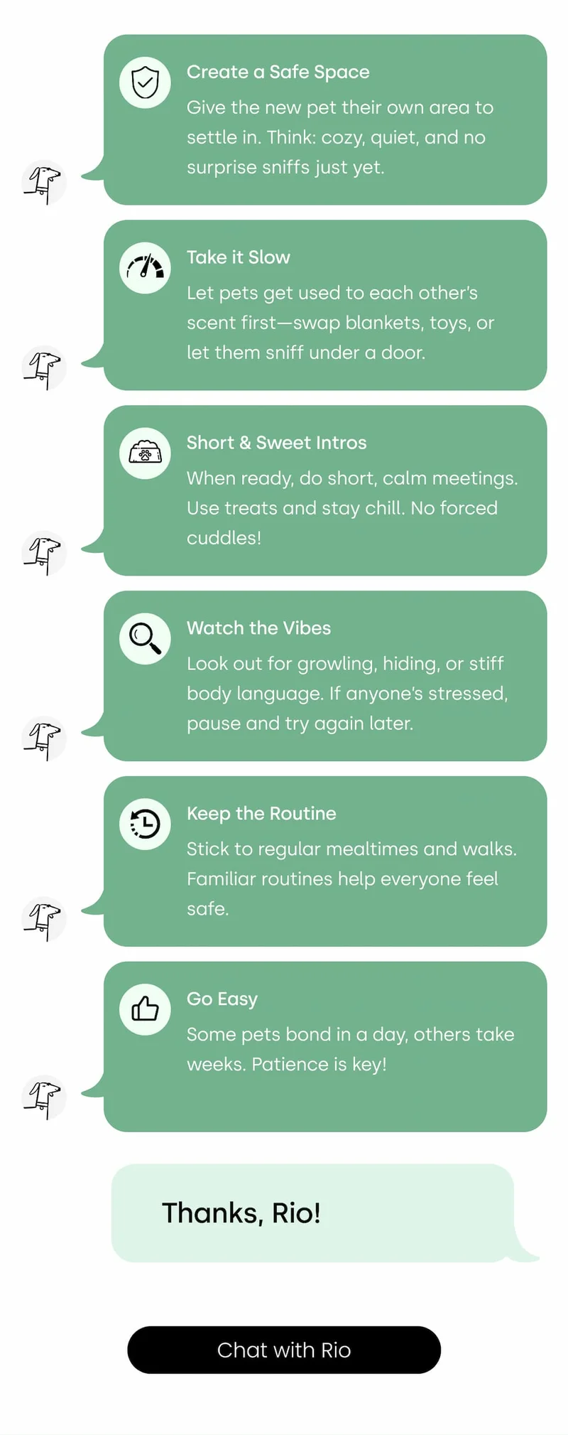 Chat with Rio