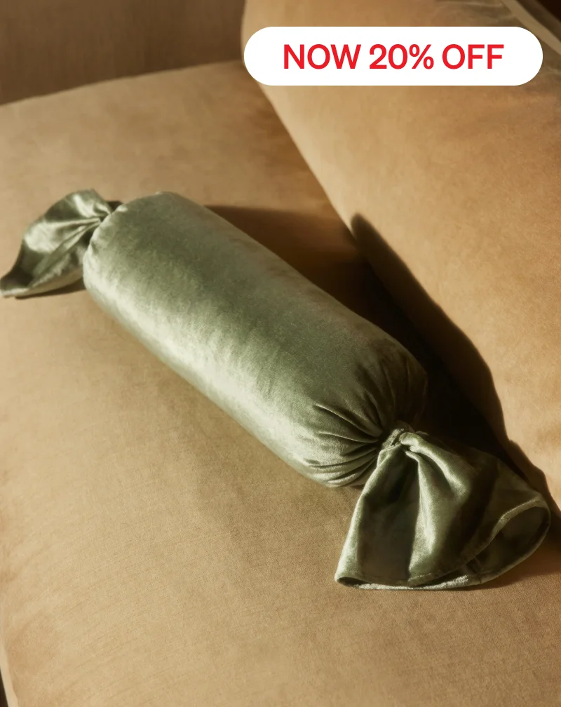 Shop Brandis Velvet Pillow