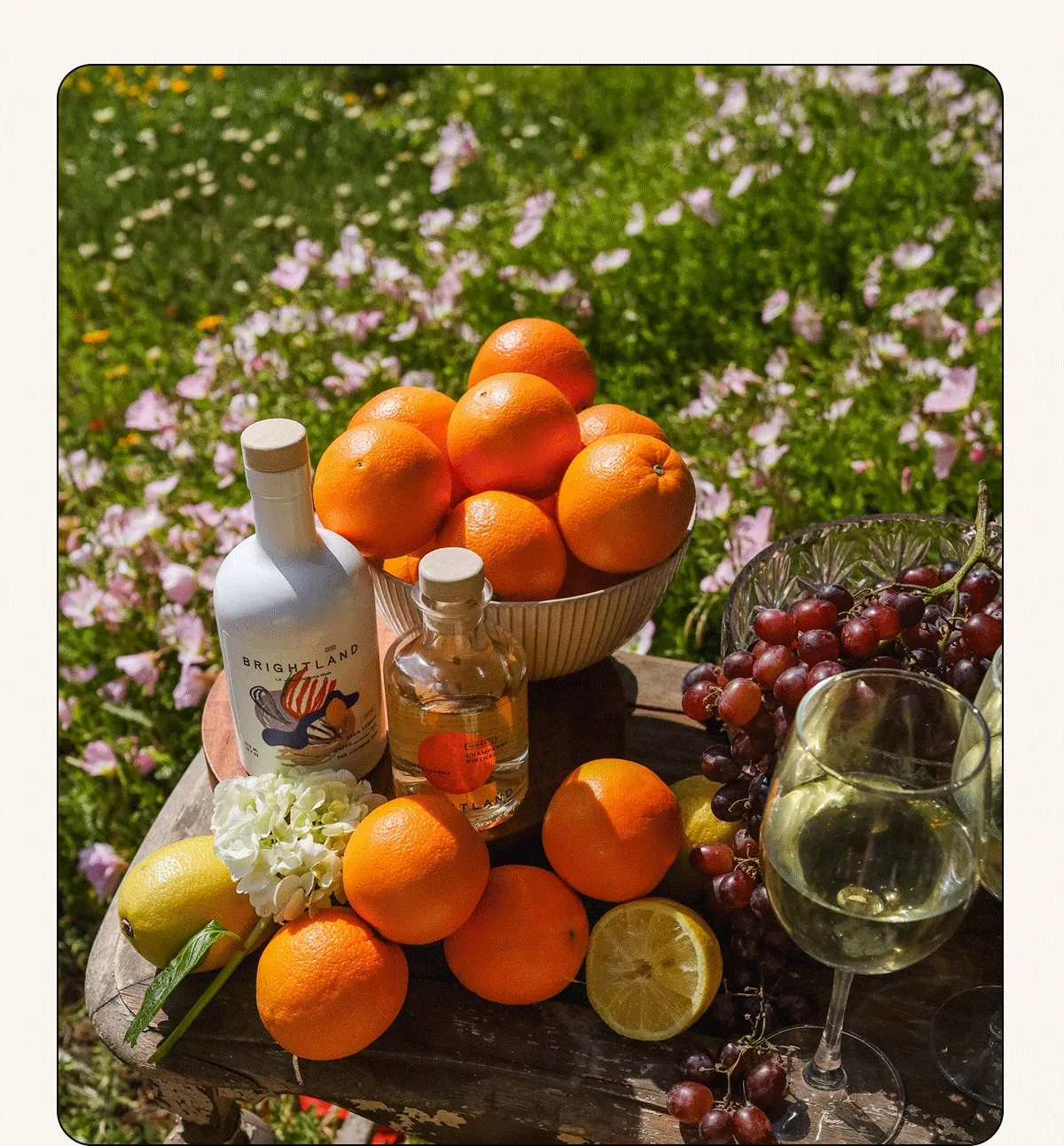 Pictures of brightland products being used to dine outside and cook recipes with fresh produce