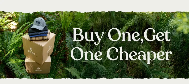 Buy One, Get One Cheaper