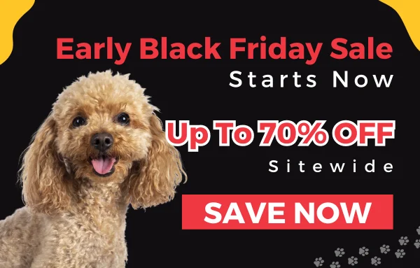 Black Friday Sale