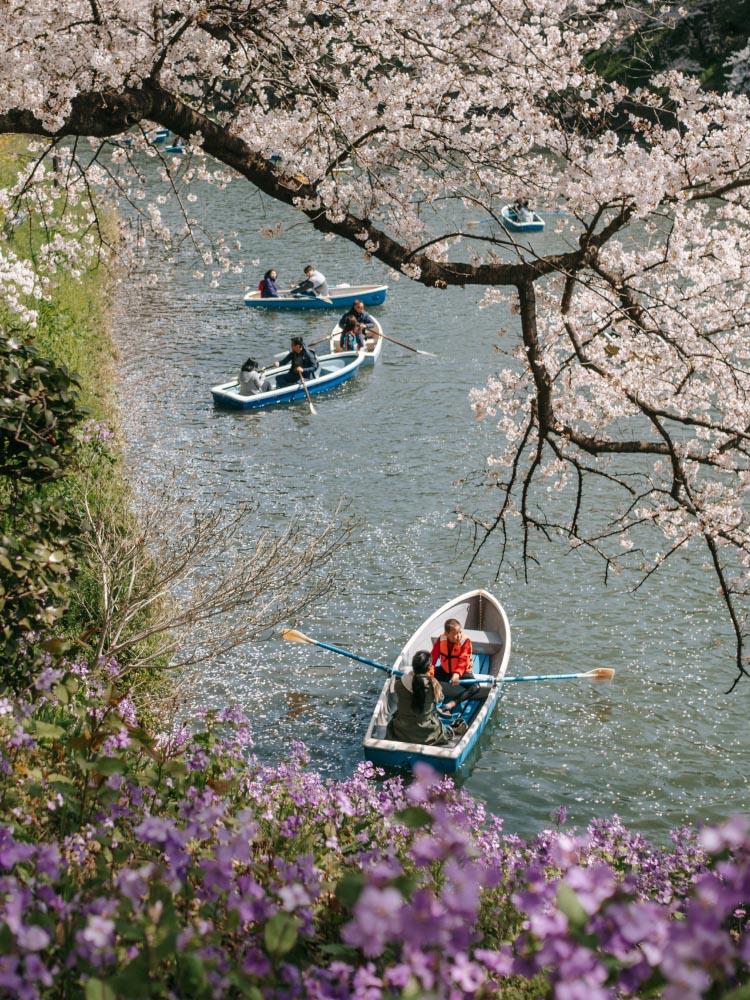 Book a spring trip. One Key members get our best prices.