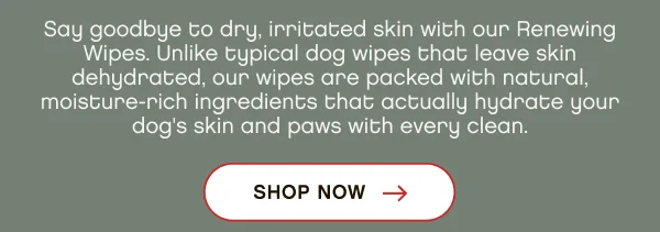 Floof Renewing Wipes