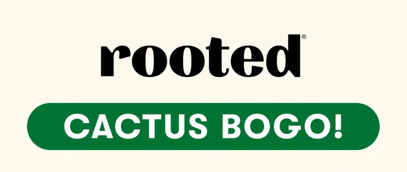 Rooted Cactus BOGO!
