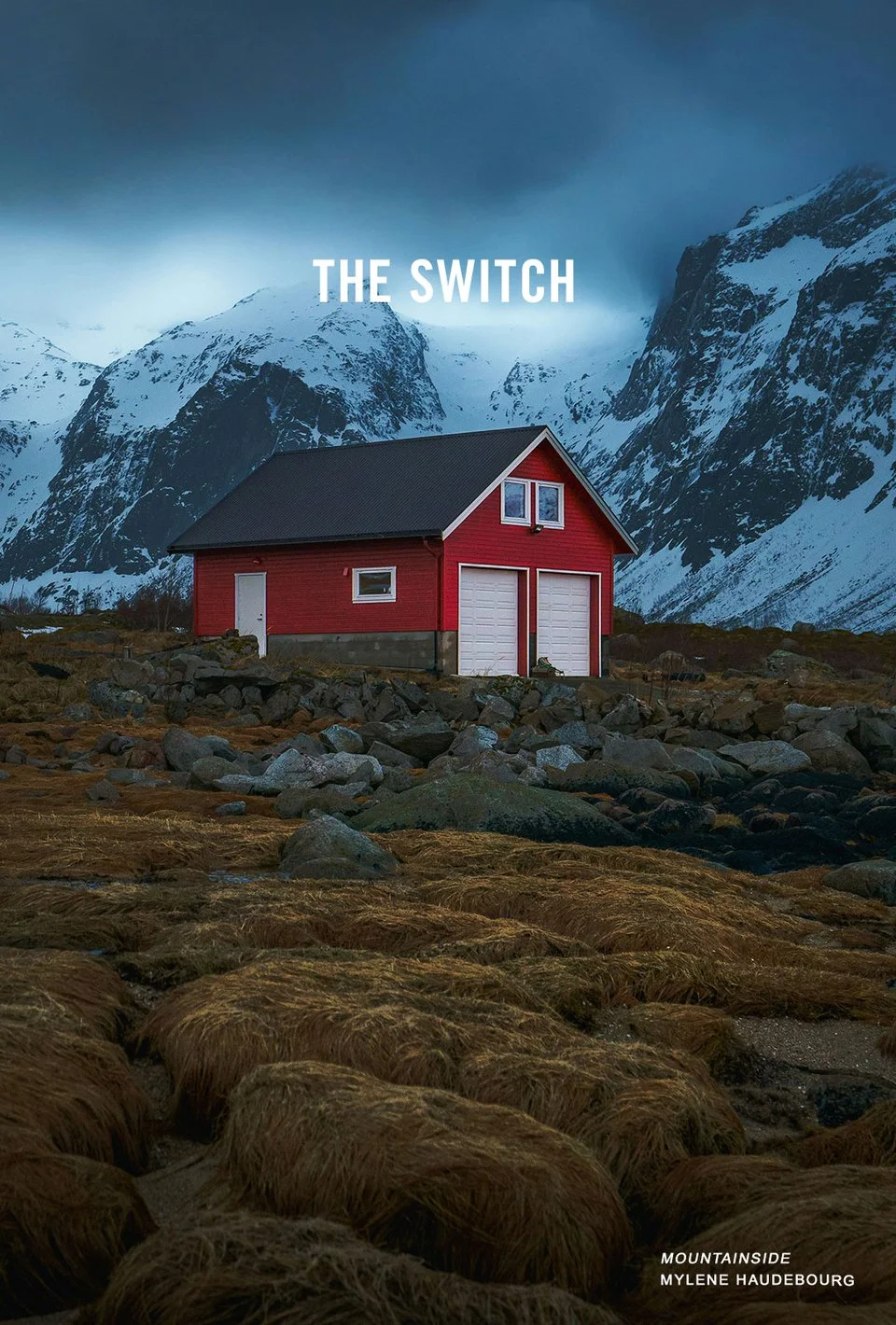 THE SWITCH