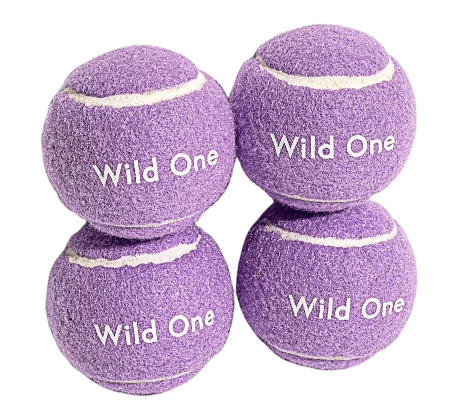Image of Wild One Tennis Balls Set of 4 - Small, Lilac