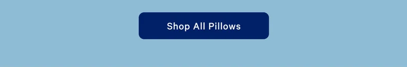 Shop All Pillows >>