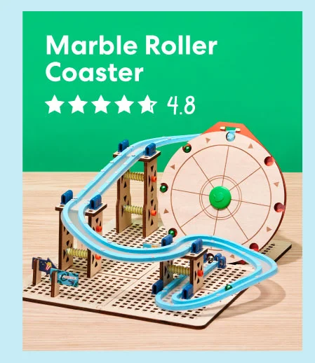 Marble Roller Coaster