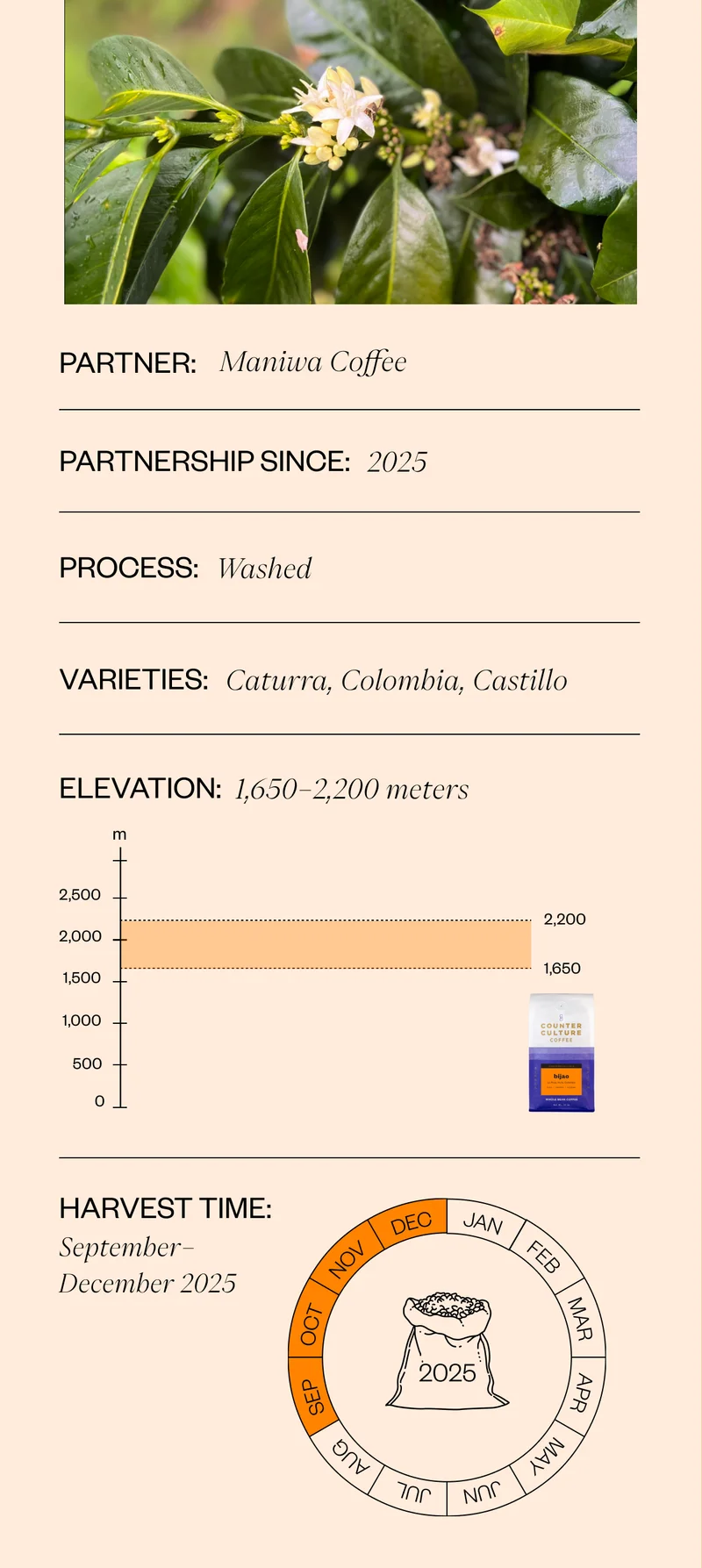 Process: Washed Elevation: 1,650-2,200 meters Varieties: Caturra, Colombia, Castillo Harvest Time: September–December 2025 Name: Maniwa Coffee Partnership since: 2025.