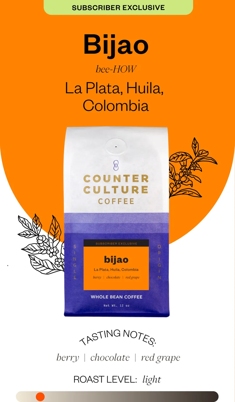 Subscriber Exclusive Bijao bee-HOW La Plata, Huila, Colombia Tasting notes berry chocolate red grape Roast level: light