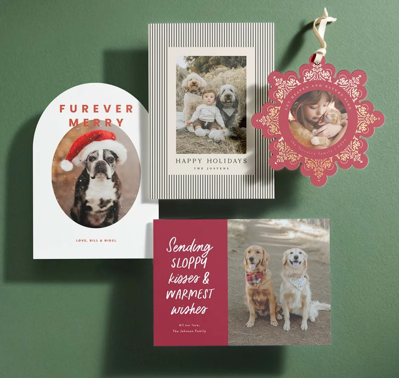 Santa Paws