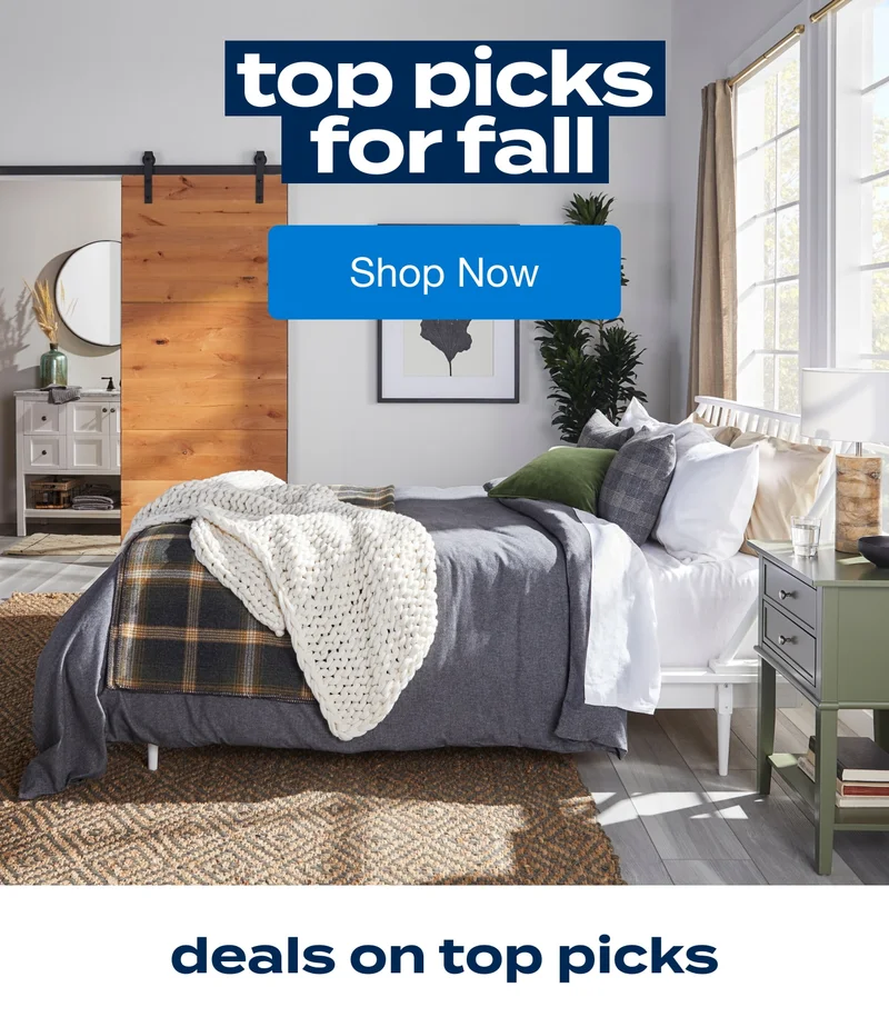 Fall in Love with Our Top Picks