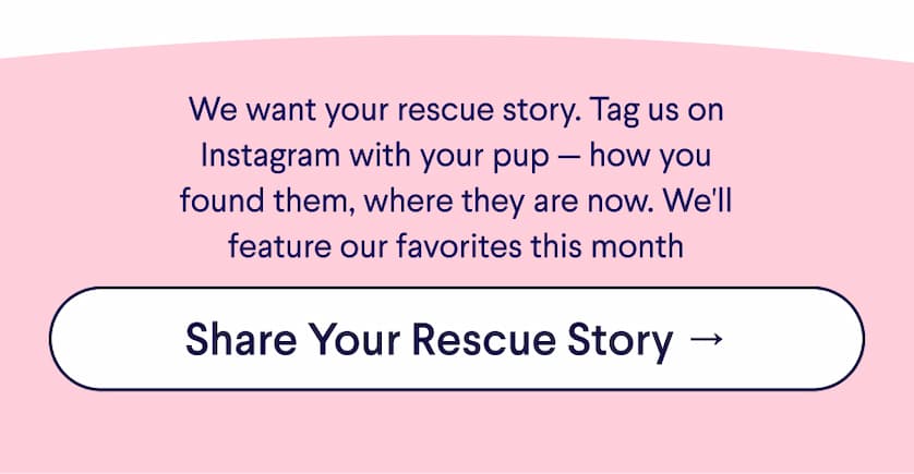Text: We want your rescue story. Tag us on Instagram with your pup — how you found them, where they are now. We'll feature our favorites this month. CTA: Share Your Rescue Story →