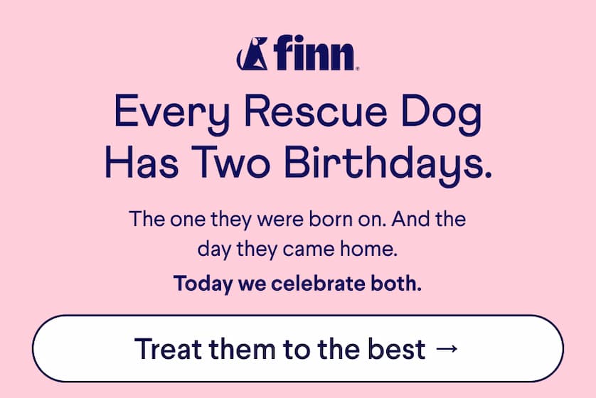 Finn Logo. Text: Every rescue dog has two birthdays. The one they were born on. And the day they came home. &nbsp; Today we celebrate both. CTA: Treat them to the best →
