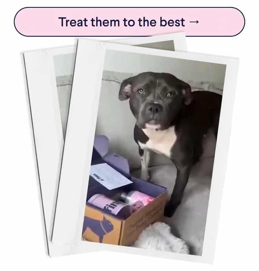CTA: Treat them to the best –> Photo of Diamond with her Finn goodies