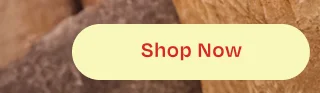 Shop Hot Summer Savings - Button