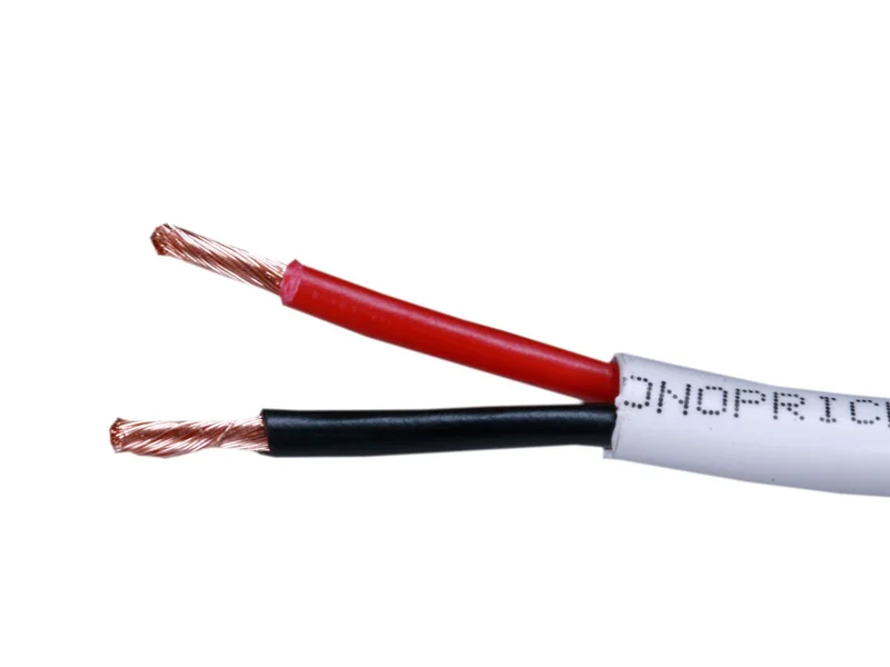 Speaker Wire, 100ft