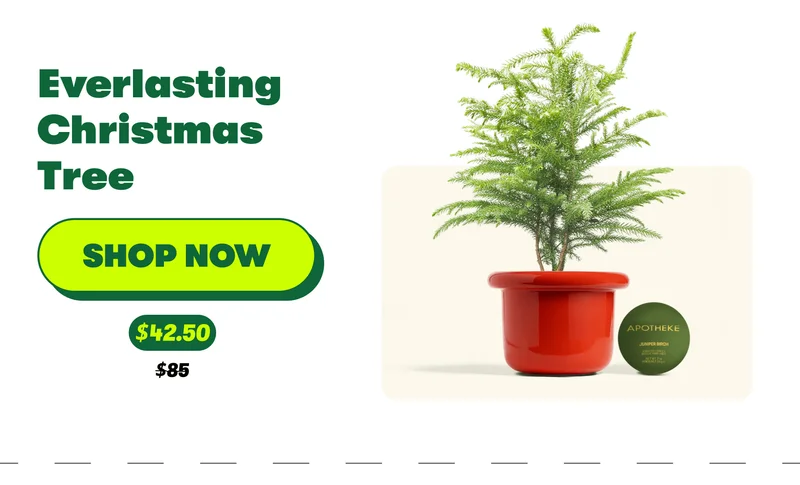 Everlasting Christmas Tree [SHOP NOW] $42.50 $85