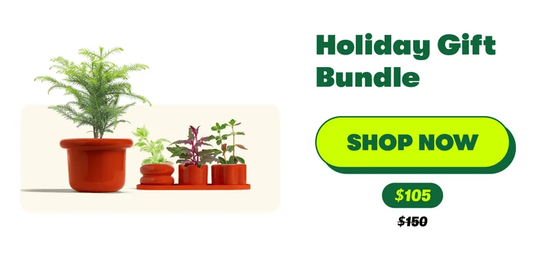 Holiday Gift Bundle [SHOP NOW] $105 $150