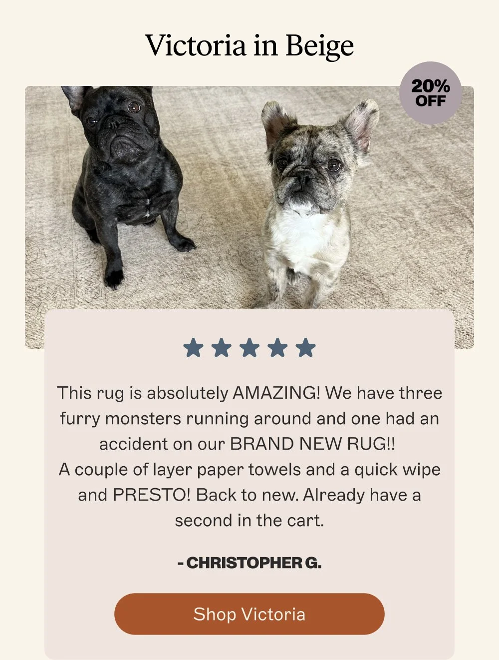 Victoria in Beige 20% off This rug is absolutely AMAZING! We have three furry monsters running around and one had an accident on our BRAND NEW RUG!! A couple of layer paper towels and a quick wipe and PRESTO! Back to new. Already have a second in the cart. - Christopher G. Shop Victoria