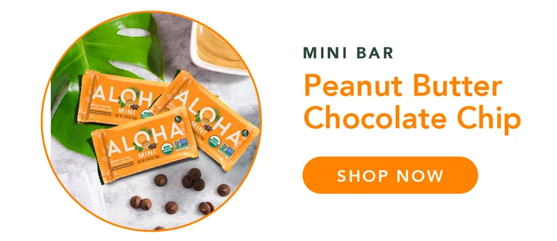 Mini Bars - Peanut Butter Chocolate Chip