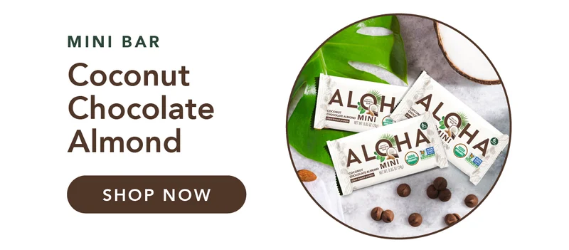 Mini Bars - Coconut Chocolate Almond
