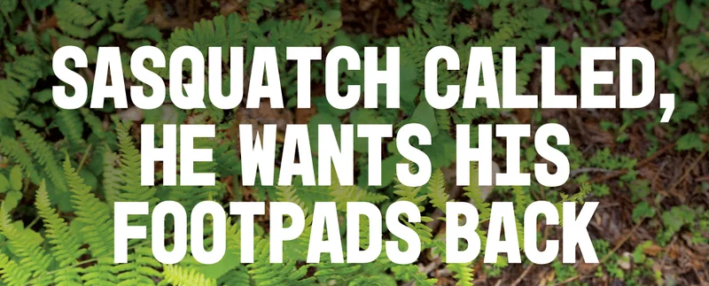 Sasquatch Called!