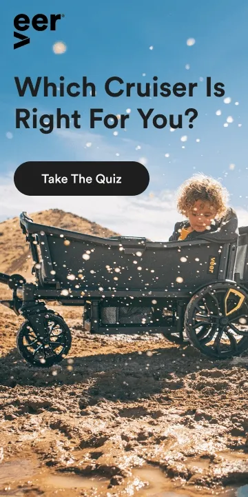 Which Cruiser Is Right For You? | Take The Quiz