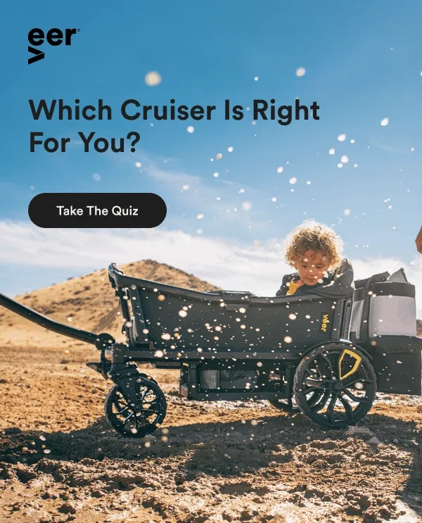 Which Cruiser Is Right For You? | Take The Quiz