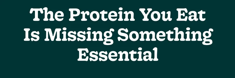 The Protein You Eat Is Missing Something Essential