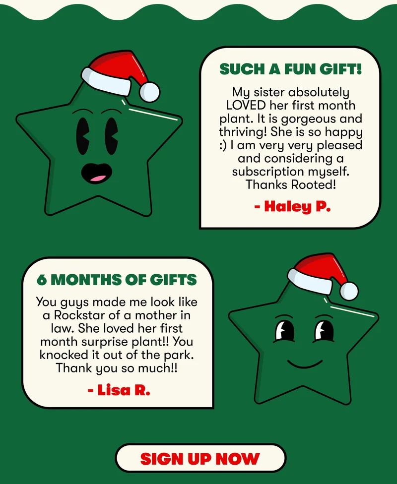 "Such a fun gift!  My sister absolutely LOVED her first month plant." "6 months of Gifts  You guys made me look like a Rockstar of a mother in law. "