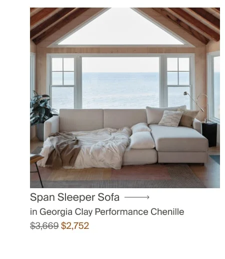 Span Sleeper Sofa