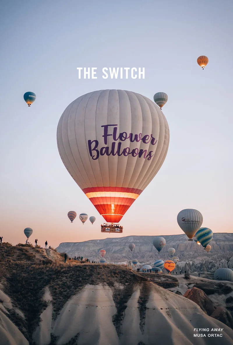 THE SWITCH