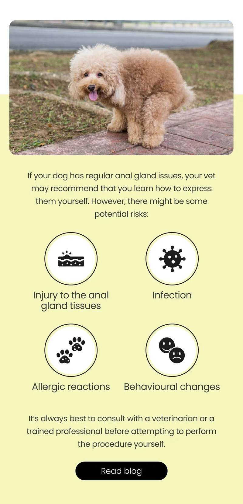 It's always best to consult a veterinarian or a trained professional - Read blog