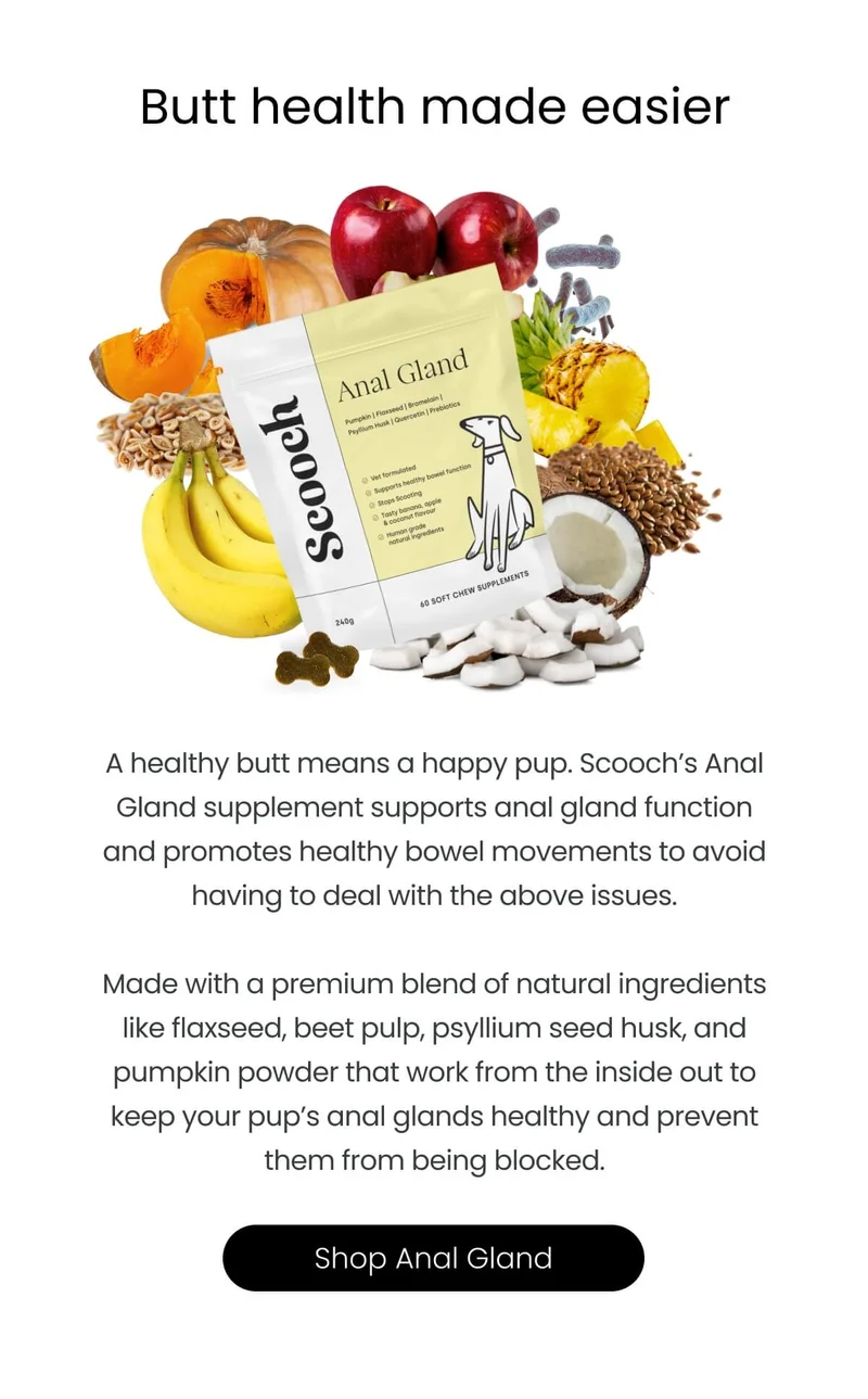 Butt health made easier - Shop Anal Gland