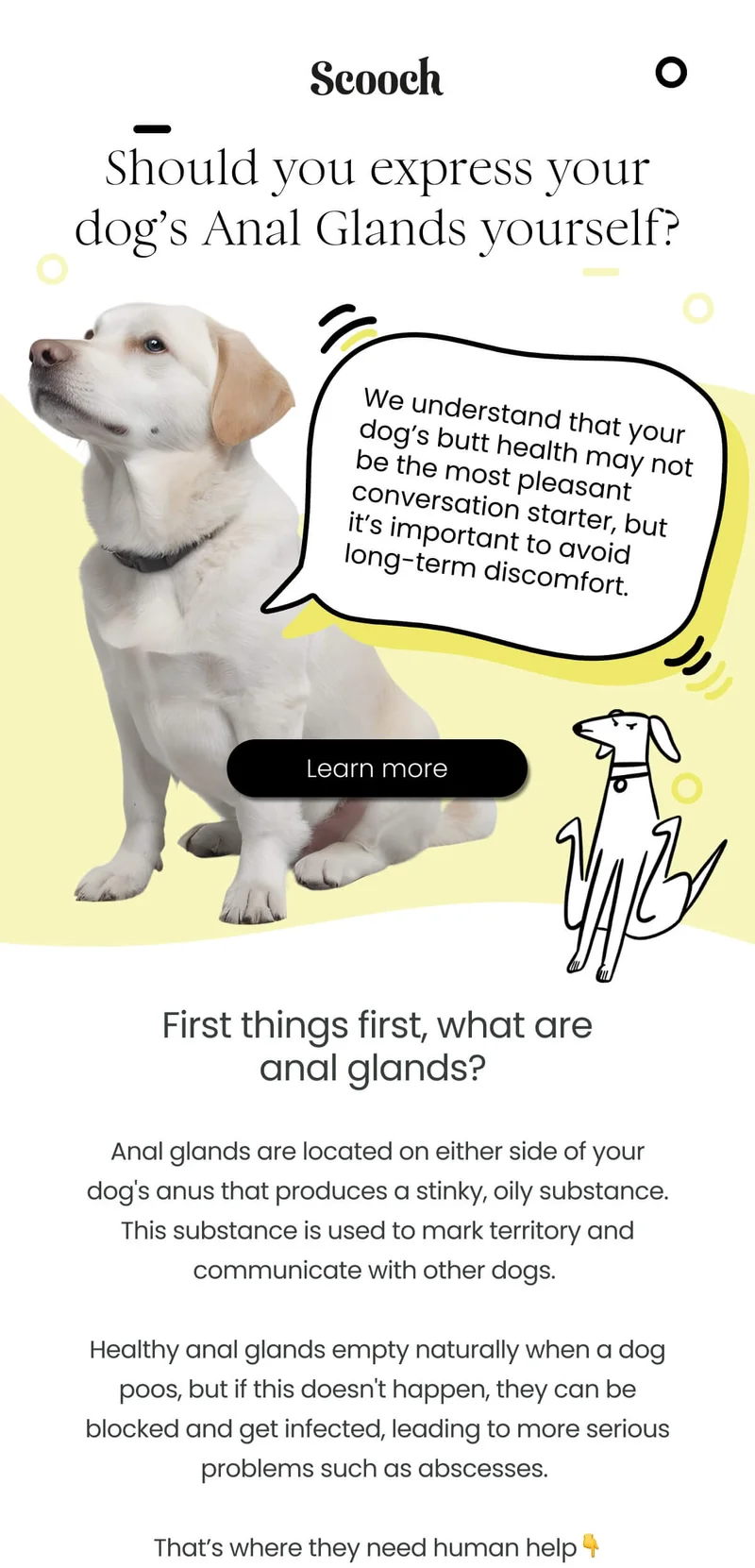 Should you express your dog’s anal glands yourself? - Learn More