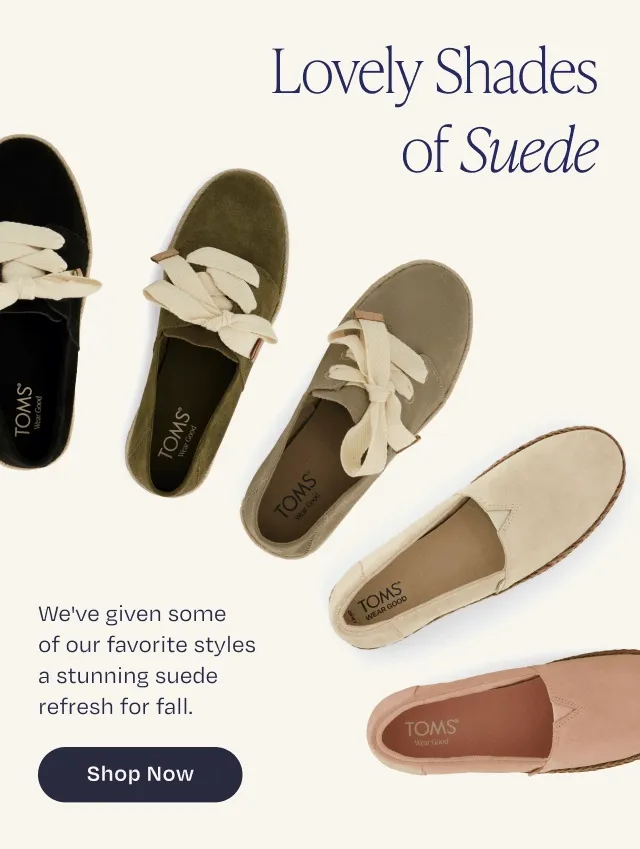 Shop Now -  Button