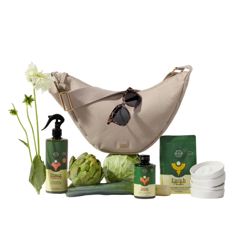 Spring Box 2025