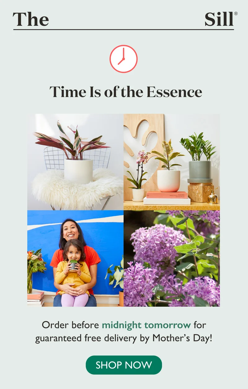 Order before midnight tomorrow for guaranteed free delivery by Mother's Day! Shop now!