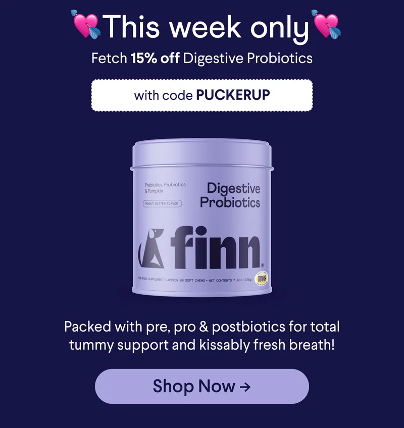 💘 This week only 💘 Fetch 15% off Digestive Probiotics with code discount code Packed with pre, pro & postbiotics for total tummy support and kissably fresh breath! Shop Now ->