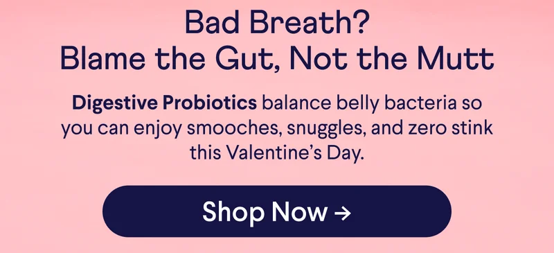 Bad Breath? Blame the Gut, Not the Mutt Digestive Probiotics balance belly bacteria so you can enjoy smooches, snuggles, and zero stink this Valentine’s Day. Shop Now ->