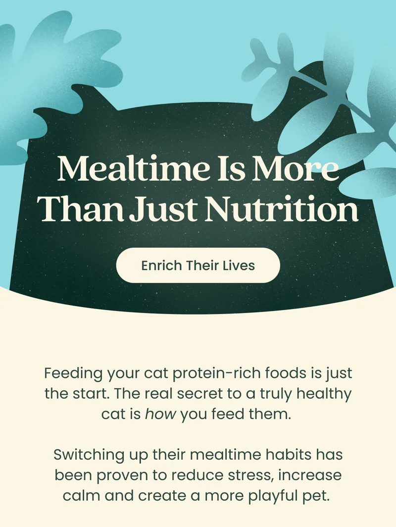 Mealtime is more than just nutrition
