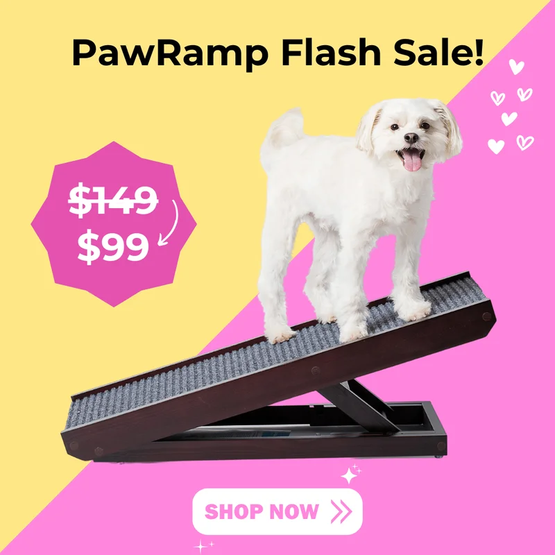 PawRamp Sale