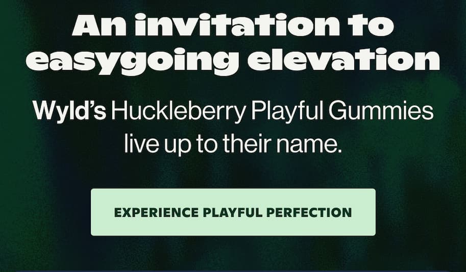 EXPERIENCE PLAYFUL PERFECTION